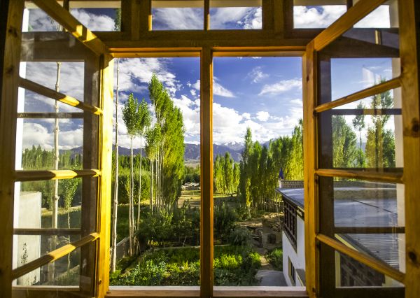 Cost of Wood Window Replacement in Grove City