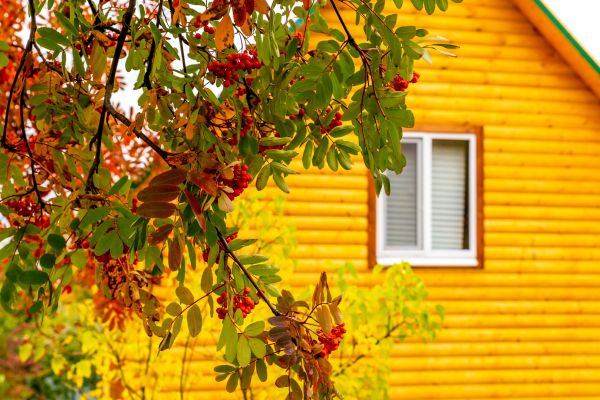 Cost of Garden Window Replacement in Grove City